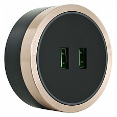 Розетка 2xusb на треке arte milano am-track-sockets 380066ts led-usbx2 gold